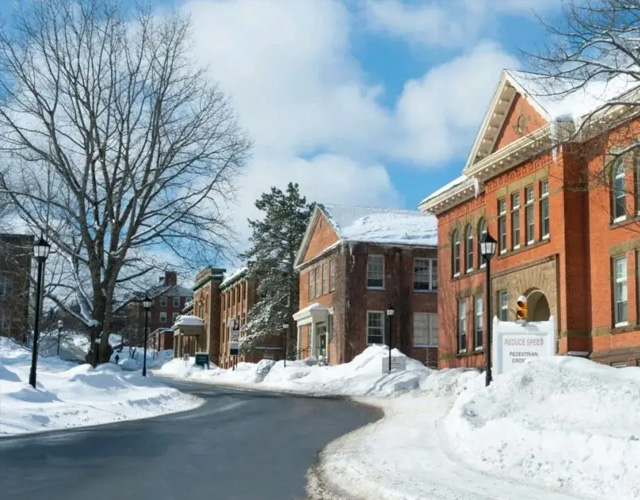 纽布伦斯威克大学